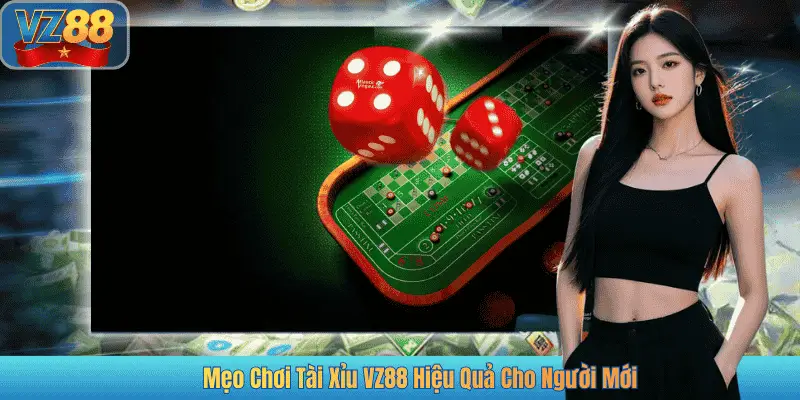 Mẹo Chơi Tài Xỉu VZ88 Hiệu Quả Cho Người Mới