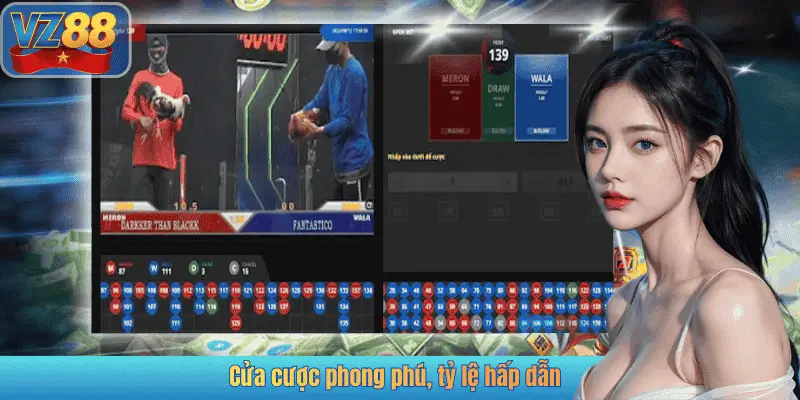 Cửa cược phong phú, tỷ lệ hấp dẫn